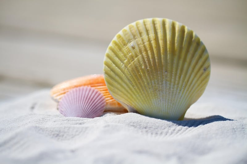 Shell Beach, Shark Bay, Australia